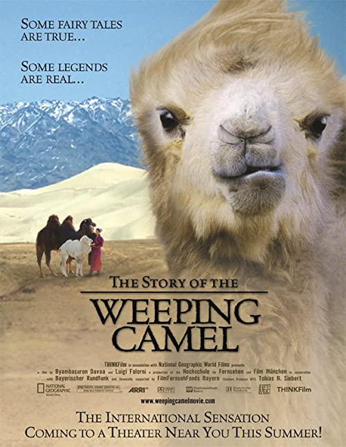 The Story of the Weeping Camel