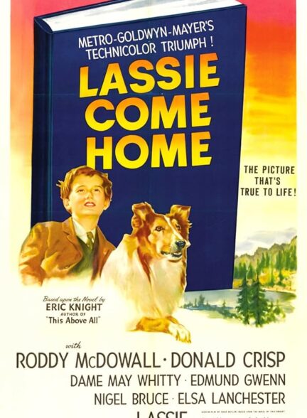 فیلم لسی بیا خونه Lassie Come Home