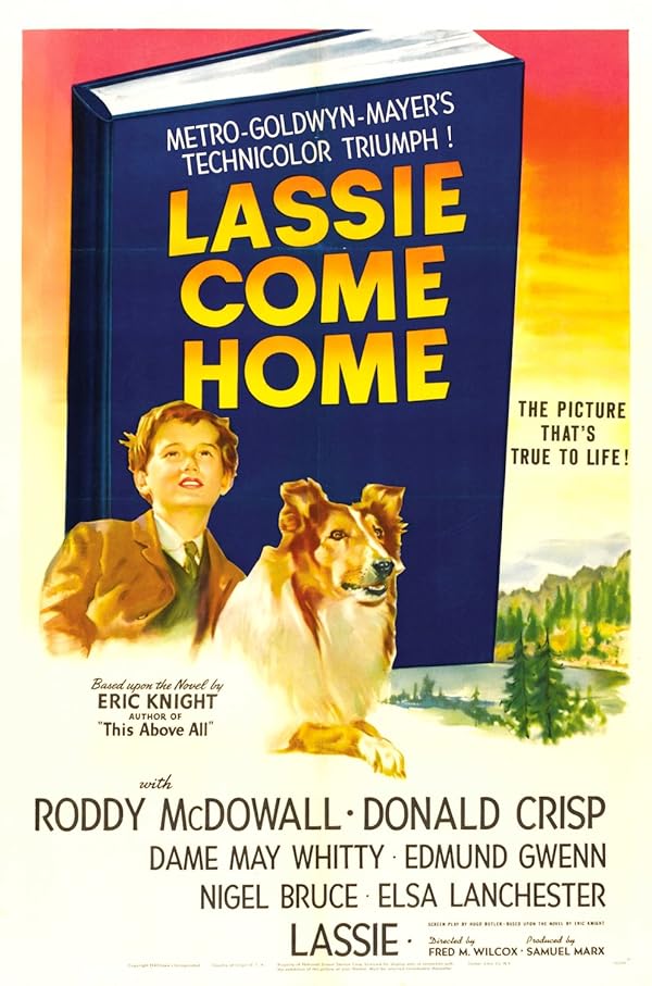 فیلم لسی بیا خونه Lassie Come Home فیلم لسی بیا خونه Lassie Come Home