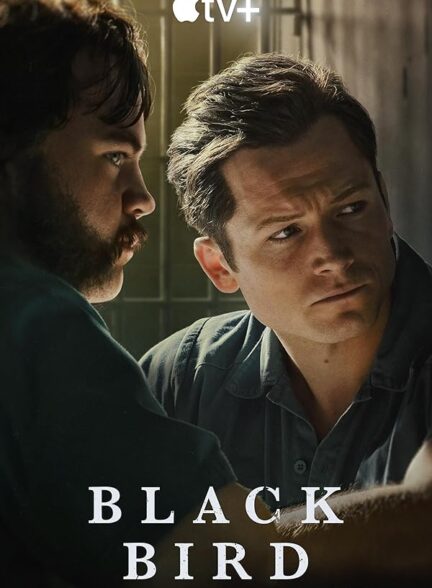 سریال پرنده سیاه Black Bird