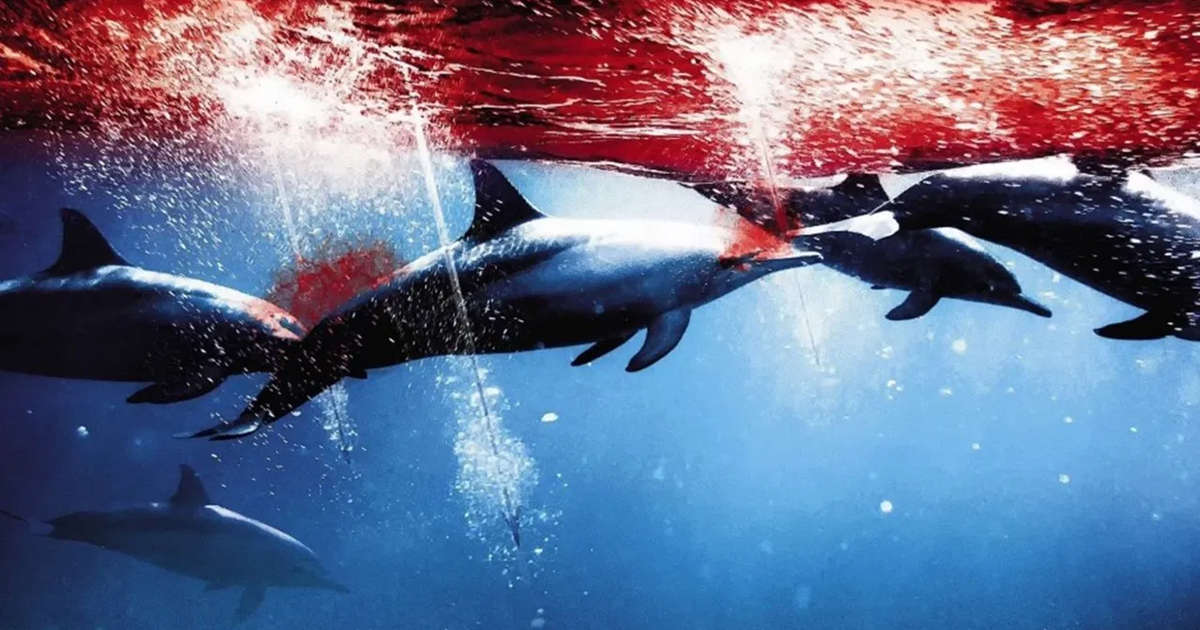 مستندی درباره شکار دلفین‌ها در ژاپن و پیامدهای زیست‌محیطی آن