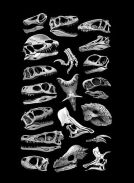 فیلم خیابان فلاورویل Flowervale Street