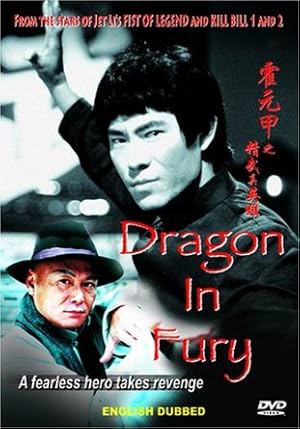 فیلم اژدهای مبارز Dragon in Fury