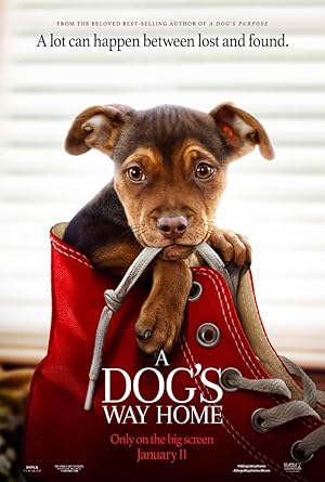 فیلم مسیر بازگشت یک سگ به خانه A Dog’s Way Home